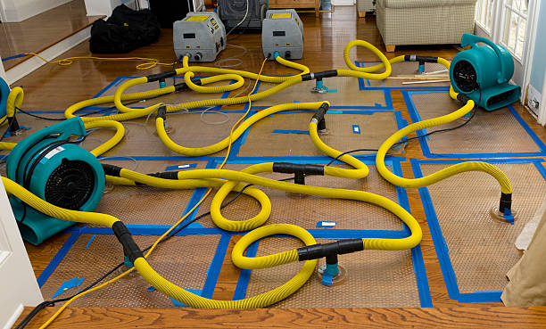Professional Storm Water Damage Restoration technician working in Saint James, MN